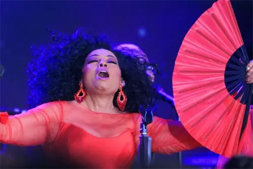 Diana Ross Entertains